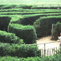 Ann 1990 maze